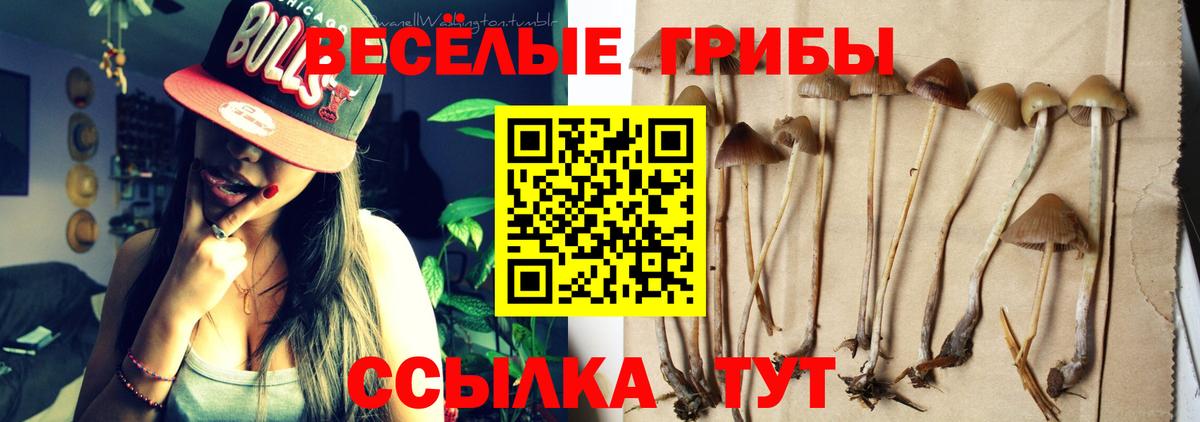 Ханты-Мансийск  Псилоцибиновые грибы ЛСД  Вход с VPN  Галлюциногенные грибы Cubensis 